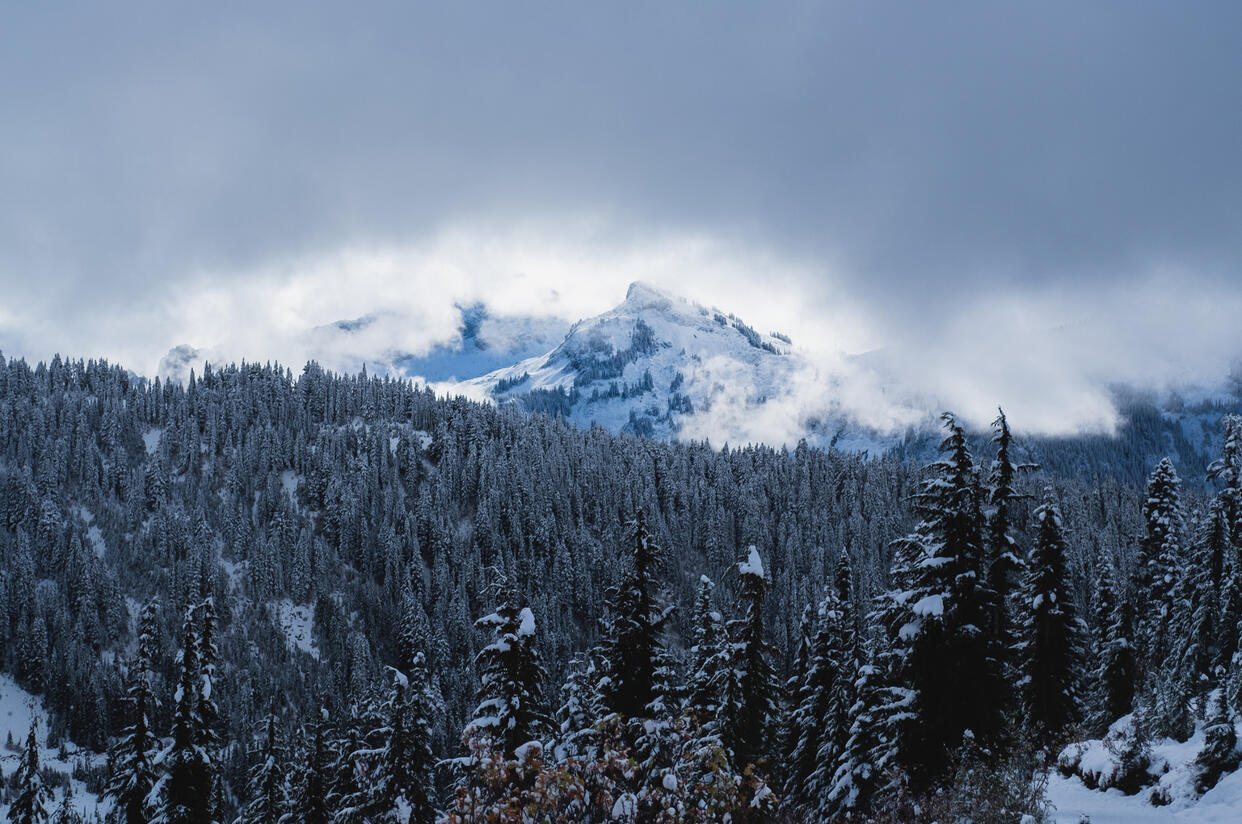 Mountain in the Fog (2022)
