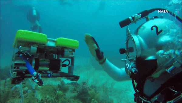 Space X News Package